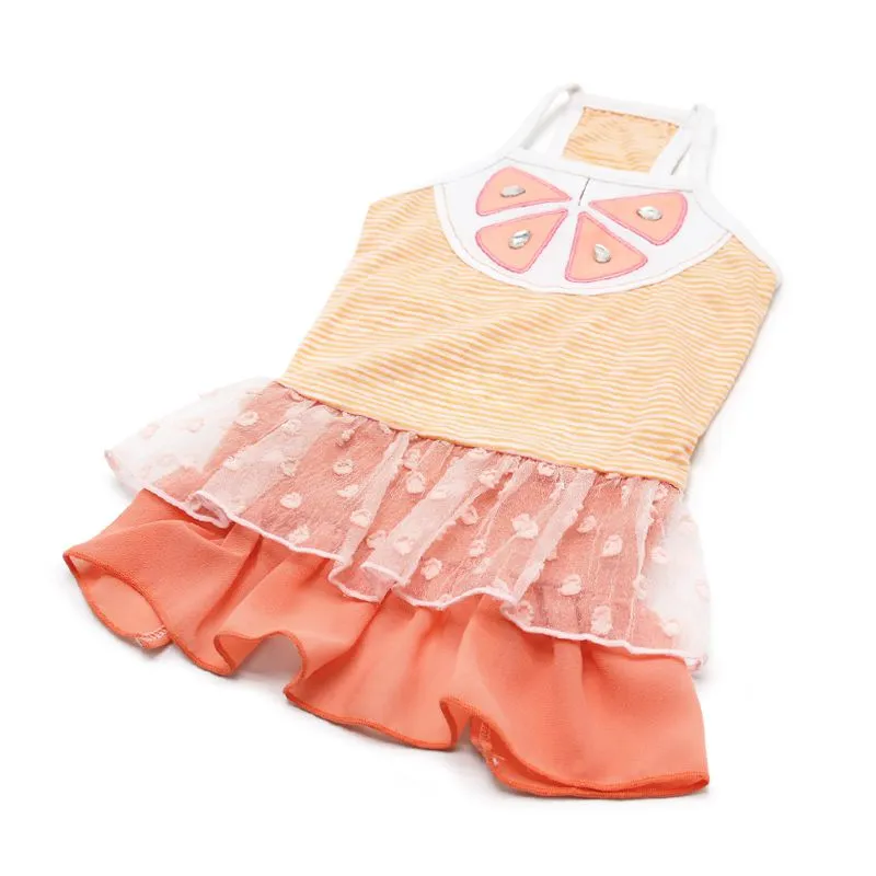 Citrus Dog Dress