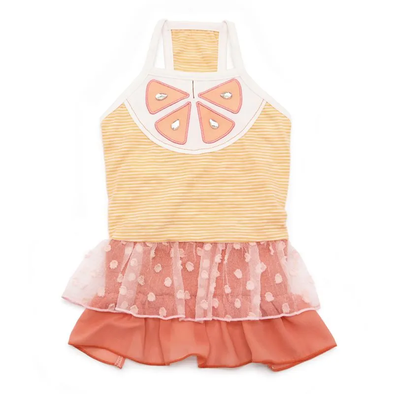 Citrus Dog Dress