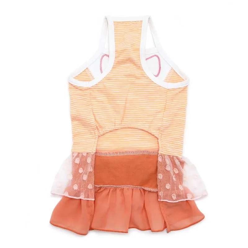 Citrus Dog Dress