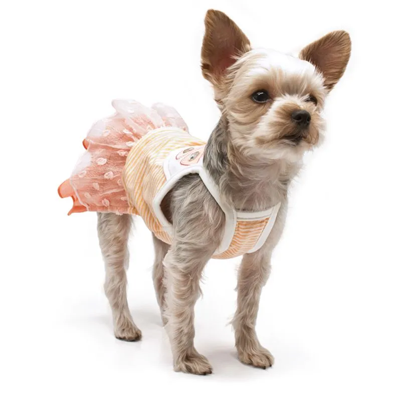 Citrus Dog Dress