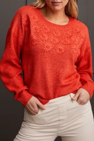 Long Sleeve Crewneck Sweater with Embroidery