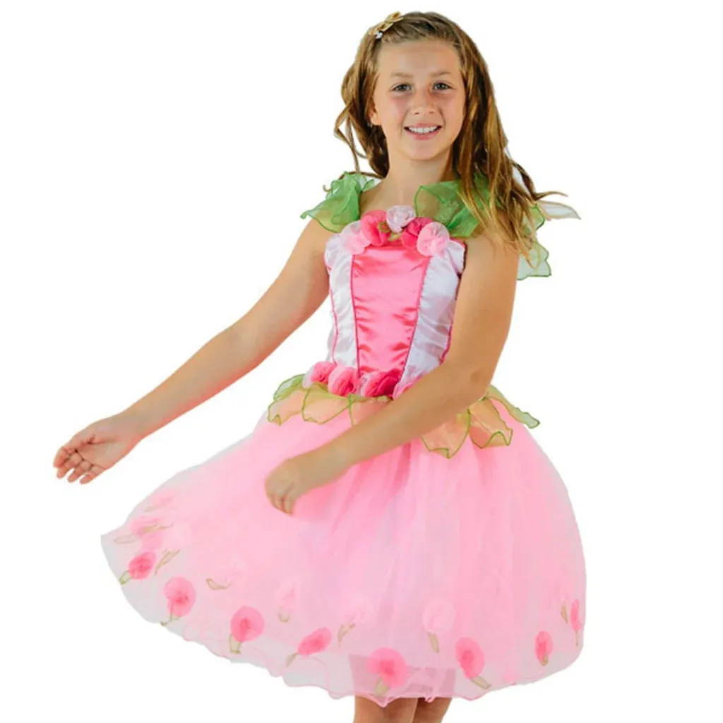 Milly Fairy Dress large