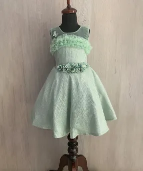 Pista Green Colored Frock for Party